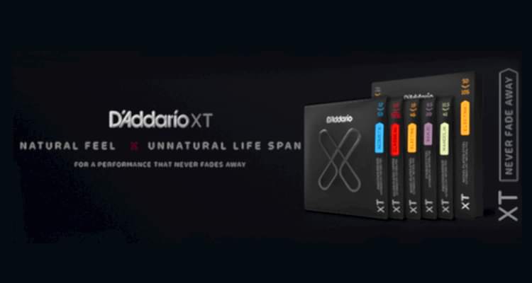 daddarioxt